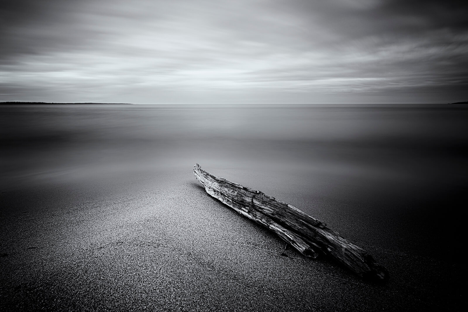 Driftwood on the beach of Salusand, Sweden. Copyright Joakim Jormelin