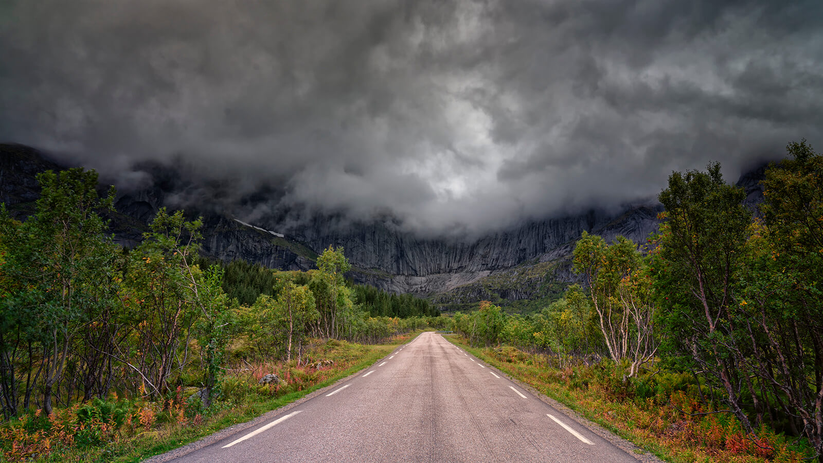 Road less traveled, Joakim Jormelin