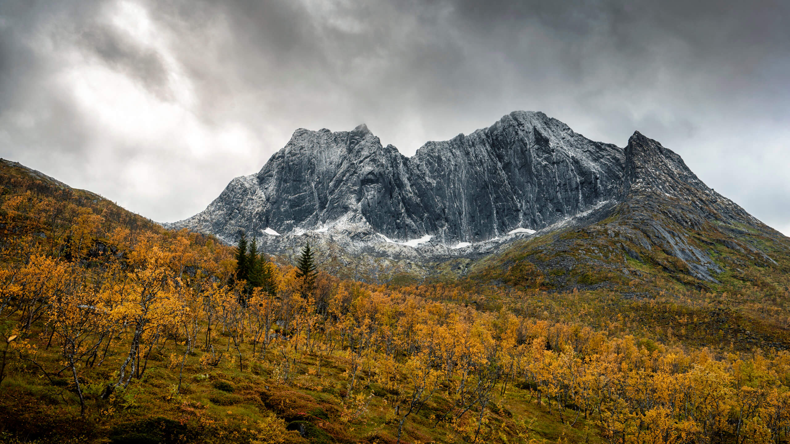 Mountains and autumn colors in Fjordgard Senja, by Joakim Jormelin